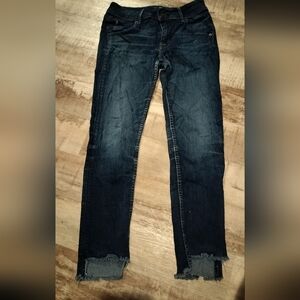Hudson Jeans Dark Blue Ankle Length Denim